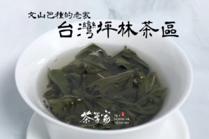 坪林茶產區-台灣茶-文山包種-青心烏龍-有機茶