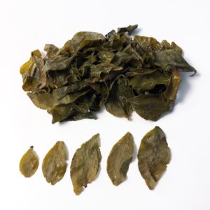 四季春 台灣茶 烏龍茶 輕發酵烏龍茶 南投 茶葉, Sijichun Oolong Tea, Taiwan Tea, Loose Tea Leaf 濕茶葉 茶葉