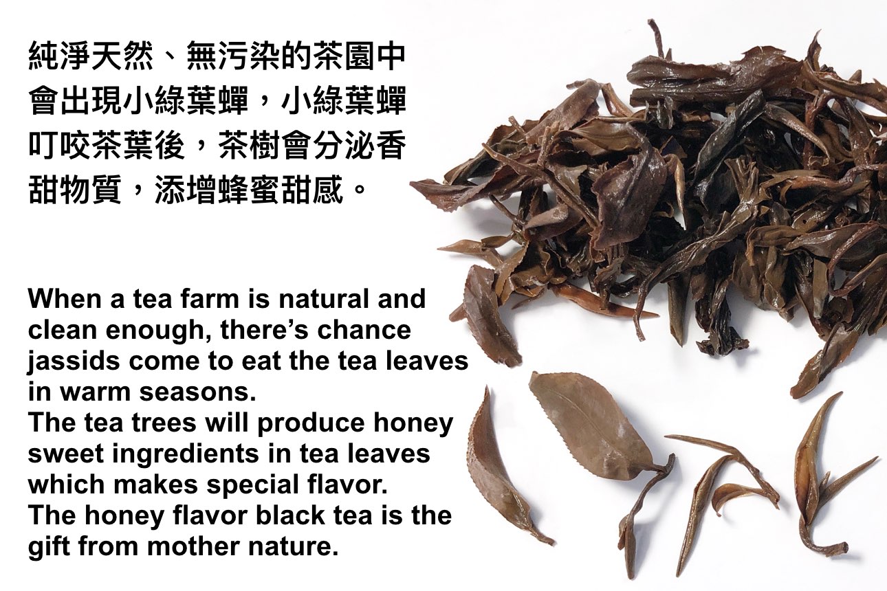 蜜香紅茶介紹, introduce of Honey Flavor Black tea, 台灣茶, Taiwan Loose Leaf Tea