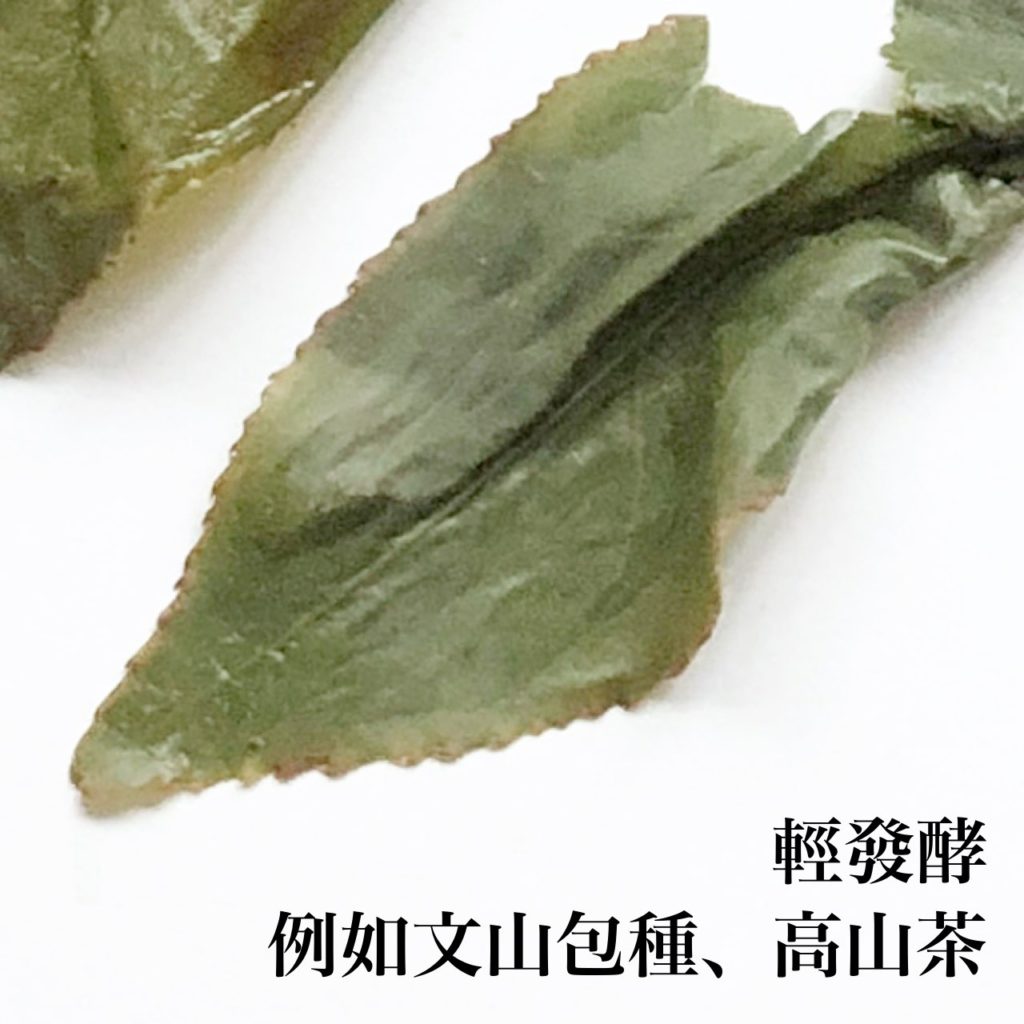輕發酵烏龍茶-文山包種-烏龍茶-台灣茶
