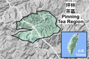坪林茶區, Pinling Tea Region, 台灣茶葉, 台灣茶, Taiwan Tea Region